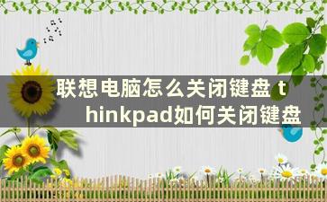 联想电脑怎么关闭键盘 thinkpad如何关闭键盘